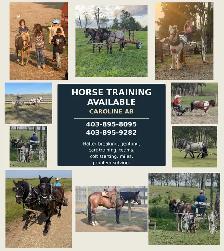 Horse training services available in Caroline AB