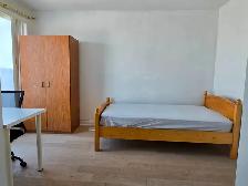 Room for Rent / North York / York Uni. Village