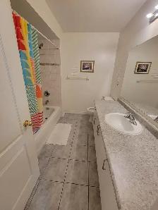 Room for Rent / North York / York Uni. Village - Photo 5
