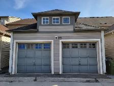 Room for Rent / North York / York Uni. Village - Photo 10