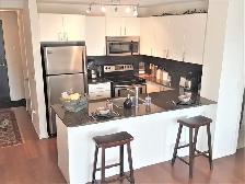 Furnished One Bedroom Suite w/ Walk-In Closet - Parliamen/Dundas