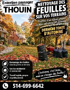 tonte gazon automne et ramassage de feuille
