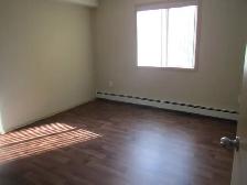 SPACIOUS CORNER APARTMENT - Photo 2