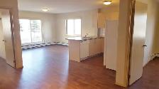 SPACIOUS CORNER APARTMENT - Photo 4
