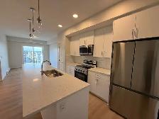 Newly Built 1 Bedroom Spacious Apartment for Rent