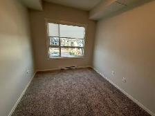 Newly Built 1 Bedroom Spacious Apartment for Rent - Photo 2