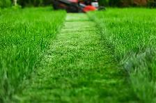 Retired guy looking for jobs cutting grass - Photo 2
