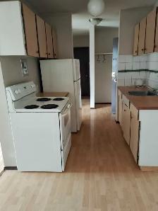 1 bedroom apartment for rent - Photo 2