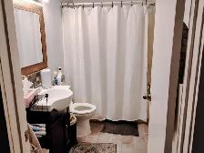LOOKING FOR A GREAT LONG TERM ROOMMATE - Photo 3