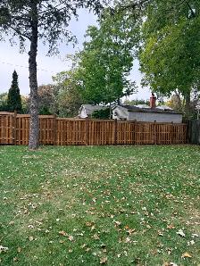 Fence fencing - Photo 2