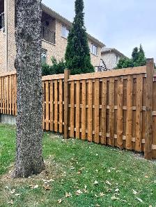 Fence fencing - Photo 5