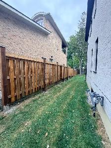 Fence fencing - Photo 7
