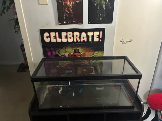Small Animal Habitat or tank and stand