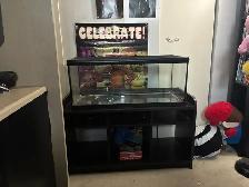 Small Animal Habitat or tank and stand - Photo 2