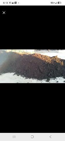 Organic Cow Manure