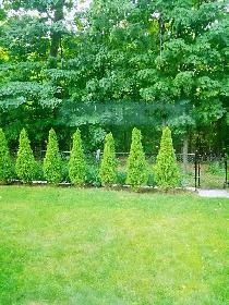 Bachelor Studio in East of Oakville - Photo 2