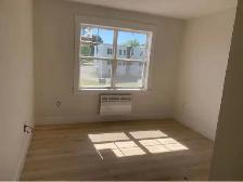 Modern 2-Bedroom Apartment in the Heart of Montague - Photo 3