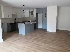 Modern 2-Bedroom Apartment in the Heart of Montague - Photo 7