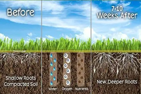 Lawn Aeration