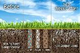 Lawn Aeration
