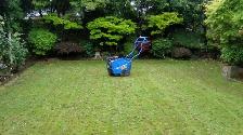 Lawn Aeration - Photo 2