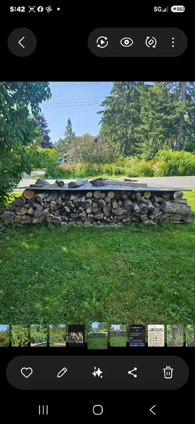 seasoned FirewoodGood Price