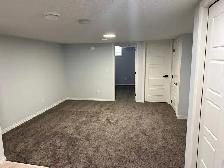 One bedroom Basement Suite - Photo 5