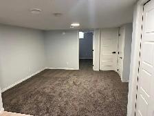 One bedroom Basement Suite - Photo 8