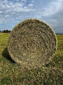 Underseeding Straw - Photo 3