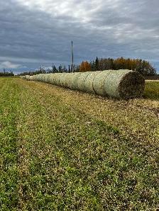 Underseeding Straw - Photo 5