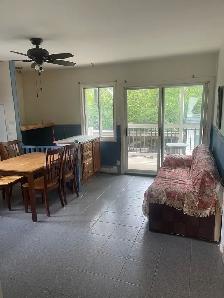 Large Room for Rent – Private Bathroom Across from Metro Cartier - Photo 2