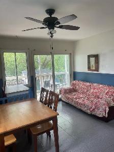 Large Room for Rent – Private Bathroom Across from Metro Cartier - Photo 3