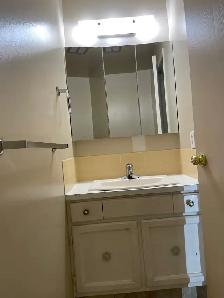 COZY 2 BEDROOM APARTMENT FOR RENT IN NE CALGARY– A GREAT HOME - Photo 9