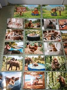 Portraits - Photo 3