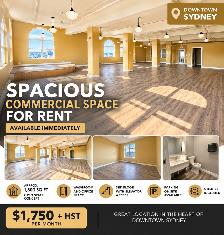 Commercial Office Space for Rent in Downtown Sydney
