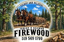 Isaiah H Bauman Firewood