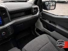 2024 Ford F-150 XL - Photo 11