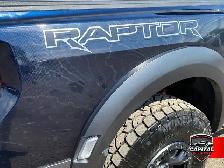 2022 Ford F-150 Raptor - Photo 4