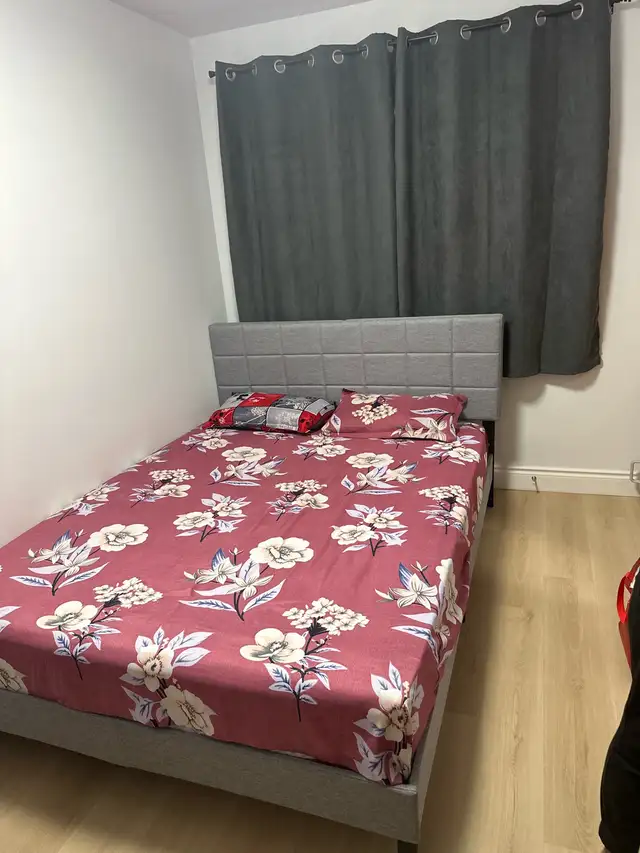 Room for rent