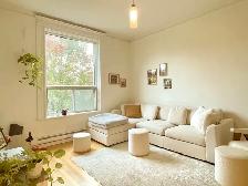 Mile End, spacieux 3e étage rénové, au pied du Mont-Royal!