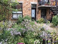 Mile End, spacieux 3e étage rénové, au pied du Mont-Royal! - Photo 9