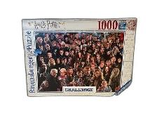 Ravensburger Harry Potter Challenge 1000 Piece Jigsaw Puzzle