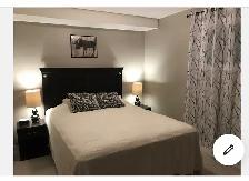 2 Bedroom Basement Suite in Canmore