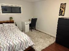 2 Bedroom Basement Suite in Canmore - Photo 3