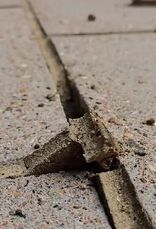 The Home & Property Health Line - Advisory, Management & Repairs - Photo 7