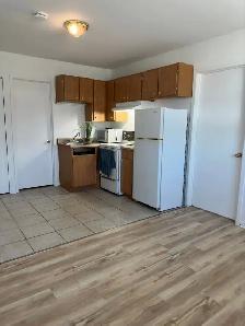 3 1/2 à louer, Rue Groulx, Granby 825$/mois.  Disp. 1er Novembre - Photo 3