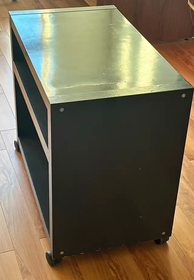Meuble roulant IKEA solide (pour TV) = Sturdy Rolling TV Stand w