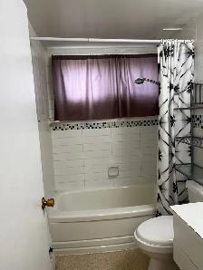 One bedroom suite - Photo 4