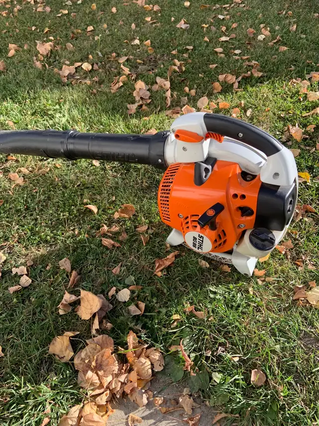 STIHL BG86 Leaf Blower - Viewing in Innisfail