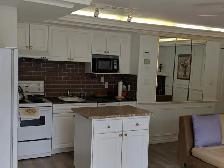 Children Hospital Basement Suite - Photo 4